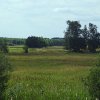Tour 13: Darß - 2